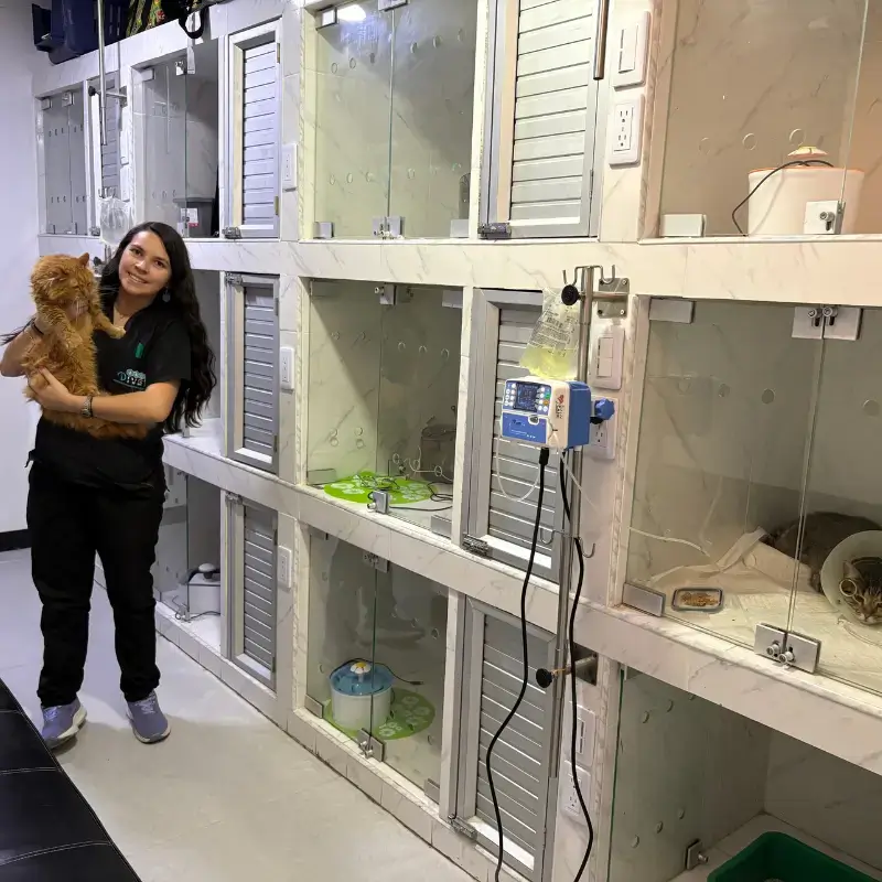 Hospital Veterinario Idivet